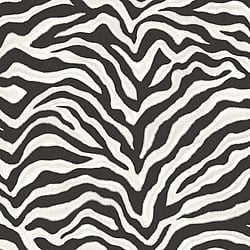 Galerie Wallcoverings Product Code G67491 - Natural Fx 2 Wallpaper Collection -  Zebra Design