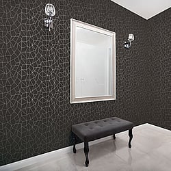 Galerie Wallcoverings Product Code G67694 - Special Fx Wallpaper Collection - Black Silver Colours - Glitter Web Design