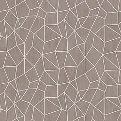 Galerie Wallcoverings Product Code G67698 - Special Fx Wallpaper Collection - Silver Grey Beige Colours - Glitter Web Design