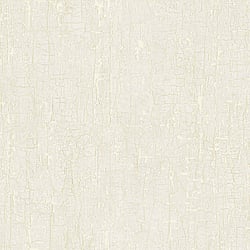 Galerie Wallcoverings Product Code G67747 - Natural Fx 2 Wallpaper Collection - White Colours - Bark Design