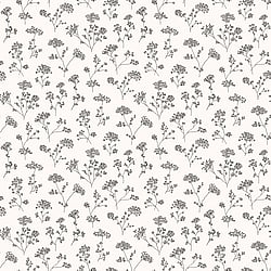 Galerie Wallcoverings Product Code G67870 - Miniatures 2 Wallpaper Collection - White Black Grey Colours - Cow Parsley Design