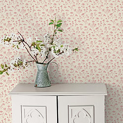 Galerie Wallcoverings Product Code G67872 - Miniatures 2 Wallpaper Collection - Red Cream Colours - Cow Parsley Design