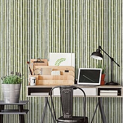 Galerie Wallcoverings Product Code G67941 - Organic Textures Wallpaper Collection - Green Colours - Bamboo Design