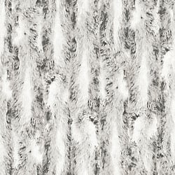 Galerie Wallcoverings Product Code G67948 - Organic Textures Wallpaper Collection - Black Grey Colours - Chinchilla Fur Design