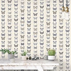 Galerie Wallcoverings Product Code G67993 - Organic Textures Wallpaper Collection - Beige Blue Colours - Jewel Butterflies Stripe Design
