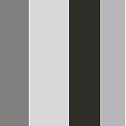 Galerie Wallcoverings Product Code G68074 - Smart Stripes 3 Wallpaper Collection - Black and Greys Colours - Wide Stripe Design