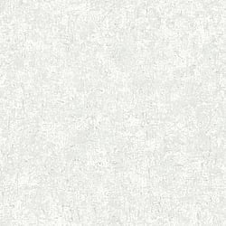 Galerie Wallcoverings Product Code G78106 - Texture Fx Wallpaper Collection - White Tinted Pearl Colours - Scratch Texture Design