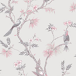 Galerie Wallcoverings Product Code G78491 - Secret Garden Wallpaper Collection -  Classic Bird Trail Design