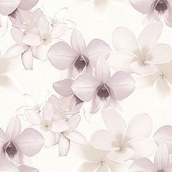Galerie Wallcoverings Product Code PA16830 - Paradisio Wallpaper Collection -   
