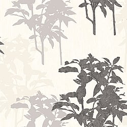 Galerie Wallcoverings Product Code PA16853 - Paradisio Wallpaper Collection -   