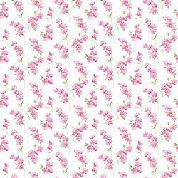 Galerie Wallcoverings Product Code PR33849 - Floral Prints 2 Wallpaper Collection -   