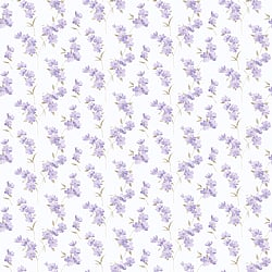Galerie Wallcoverings Product Code PR33850 - Floral Prints 2 Wallpaper Collection -   