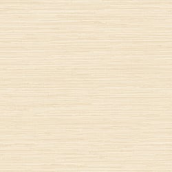 Galerie Wallcoverings Product Code SB37918 - Simply Silks 4 Wallpaper Collection - Cream Colours - Grasscloth Design