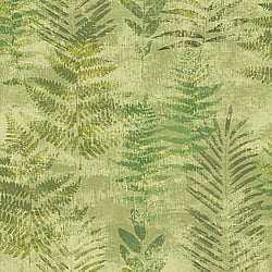 Galerie Wallcoverings Product Code TP21262 - Passenger Wallpaper Collection - Light Green Colours - Fern Print Design